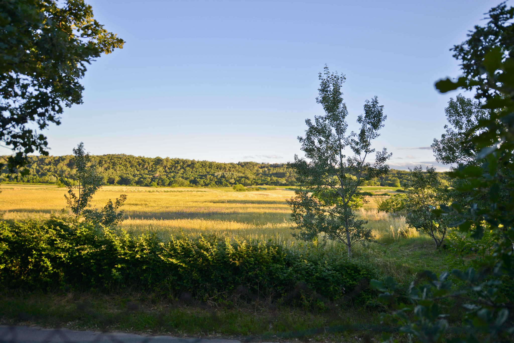 Photo bien immobilier